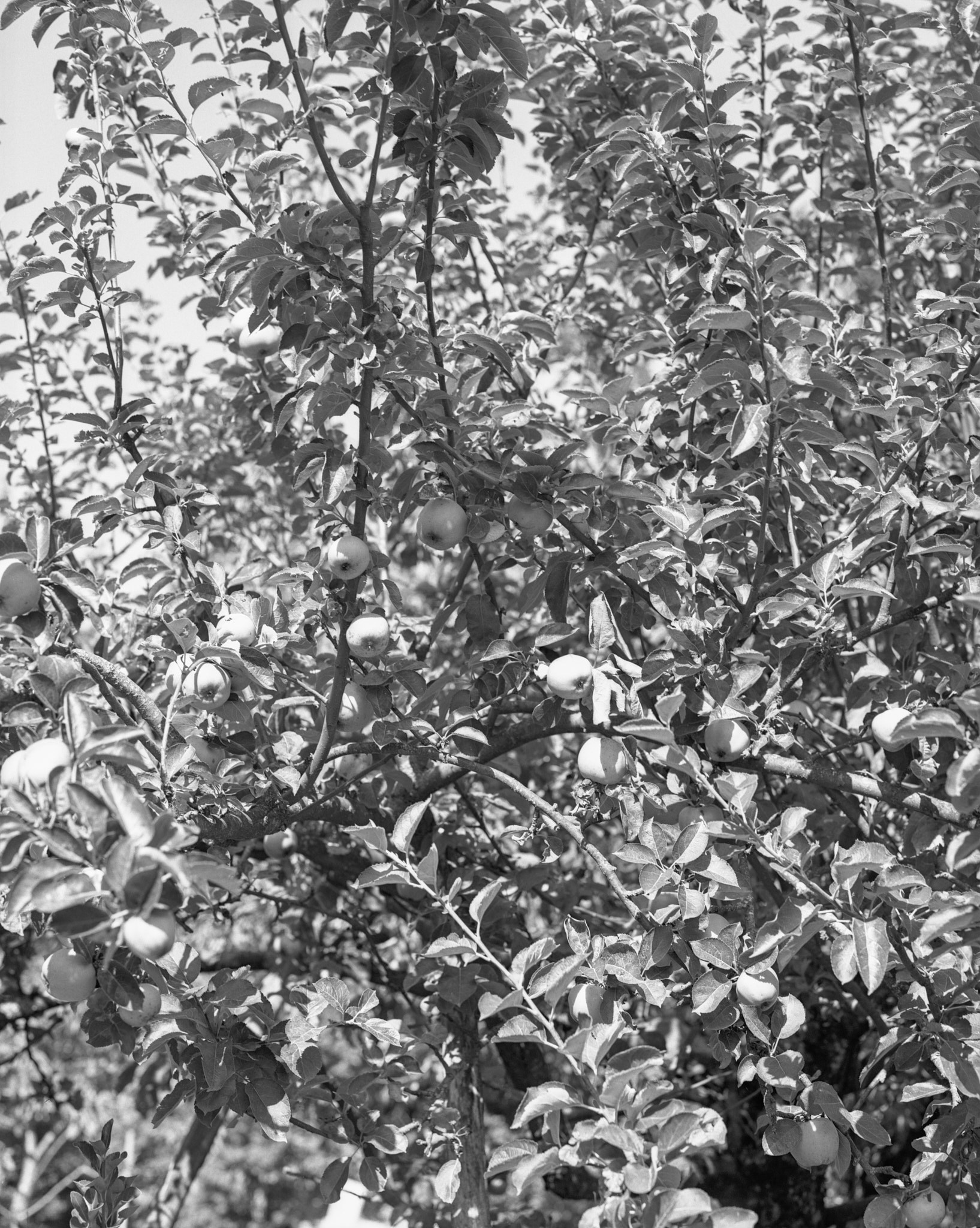 Проект «Borderland» Филиппо Барберо (Filippo Barbero). Private image