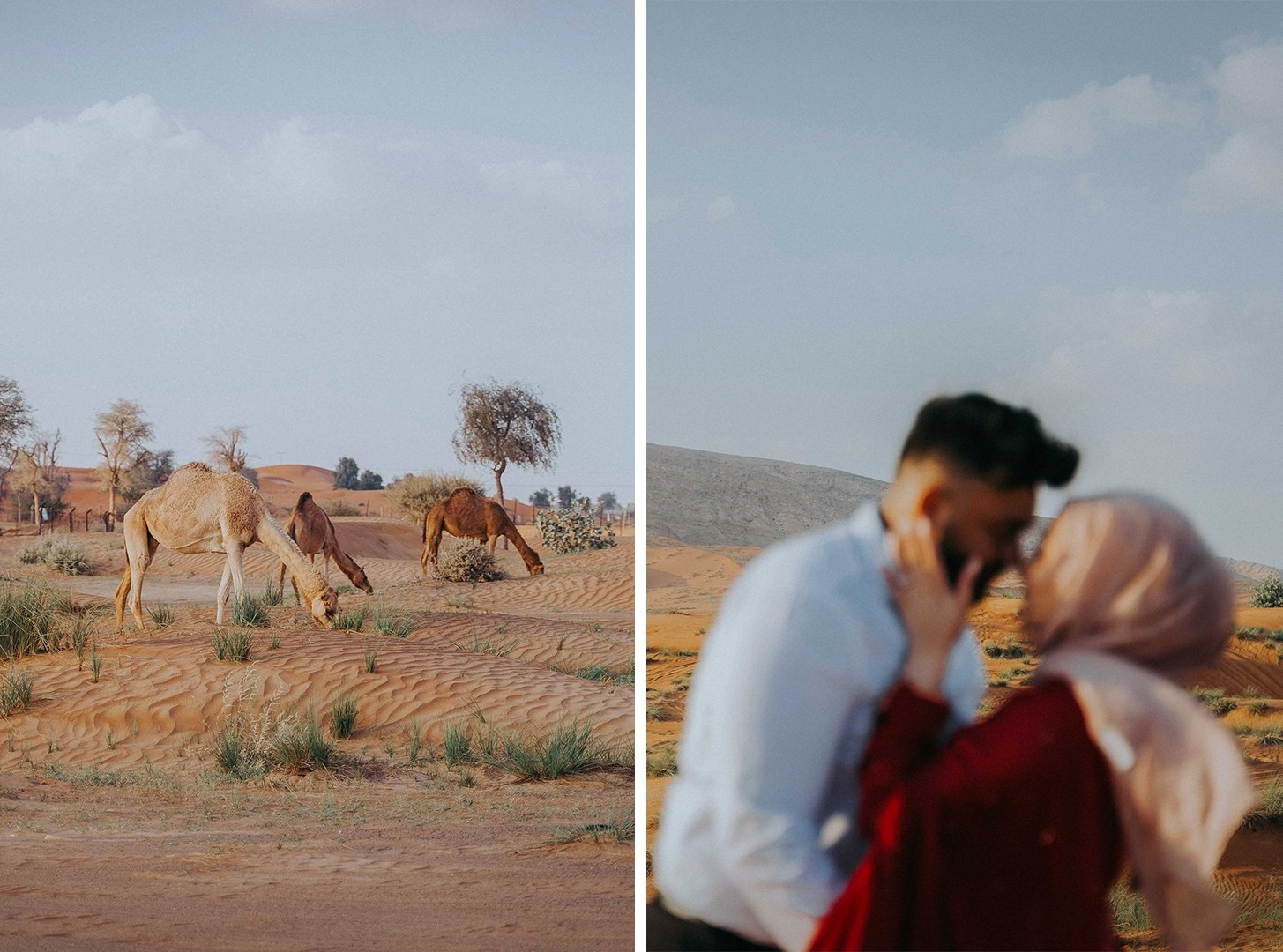 Wedding photographer in Abu Dhabi