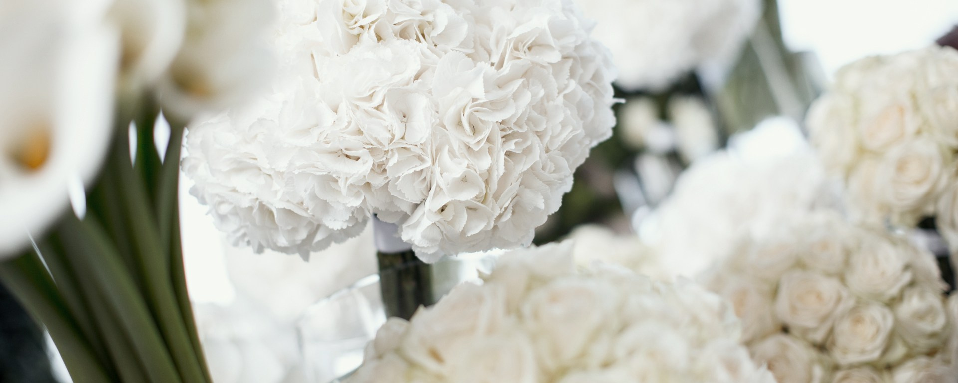 Услуги. Свадебный фотограф в Санкт-Петербурге Марина Егорова