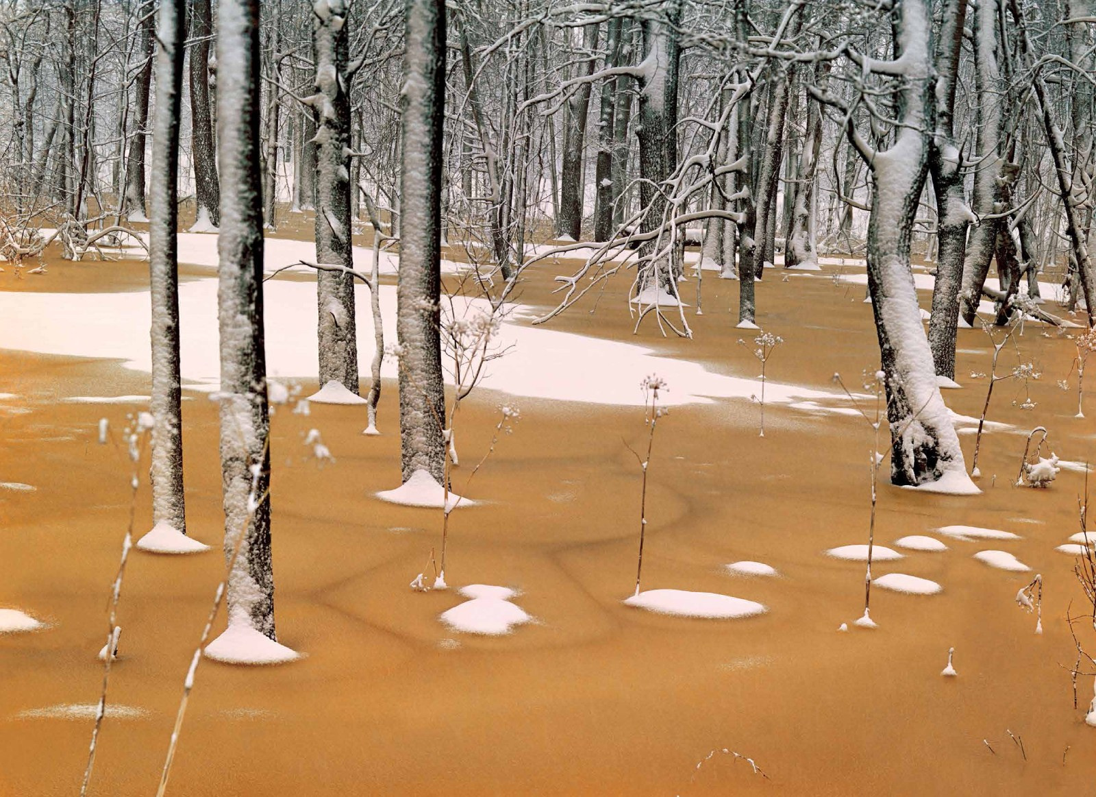 Коллекционные альбомы. ВАДИМ ГИППЕНРЕЙТЕР — ВЕЛИКИЙ ФОТОГРАФ ЗЕМЛИ РУССКОЙ