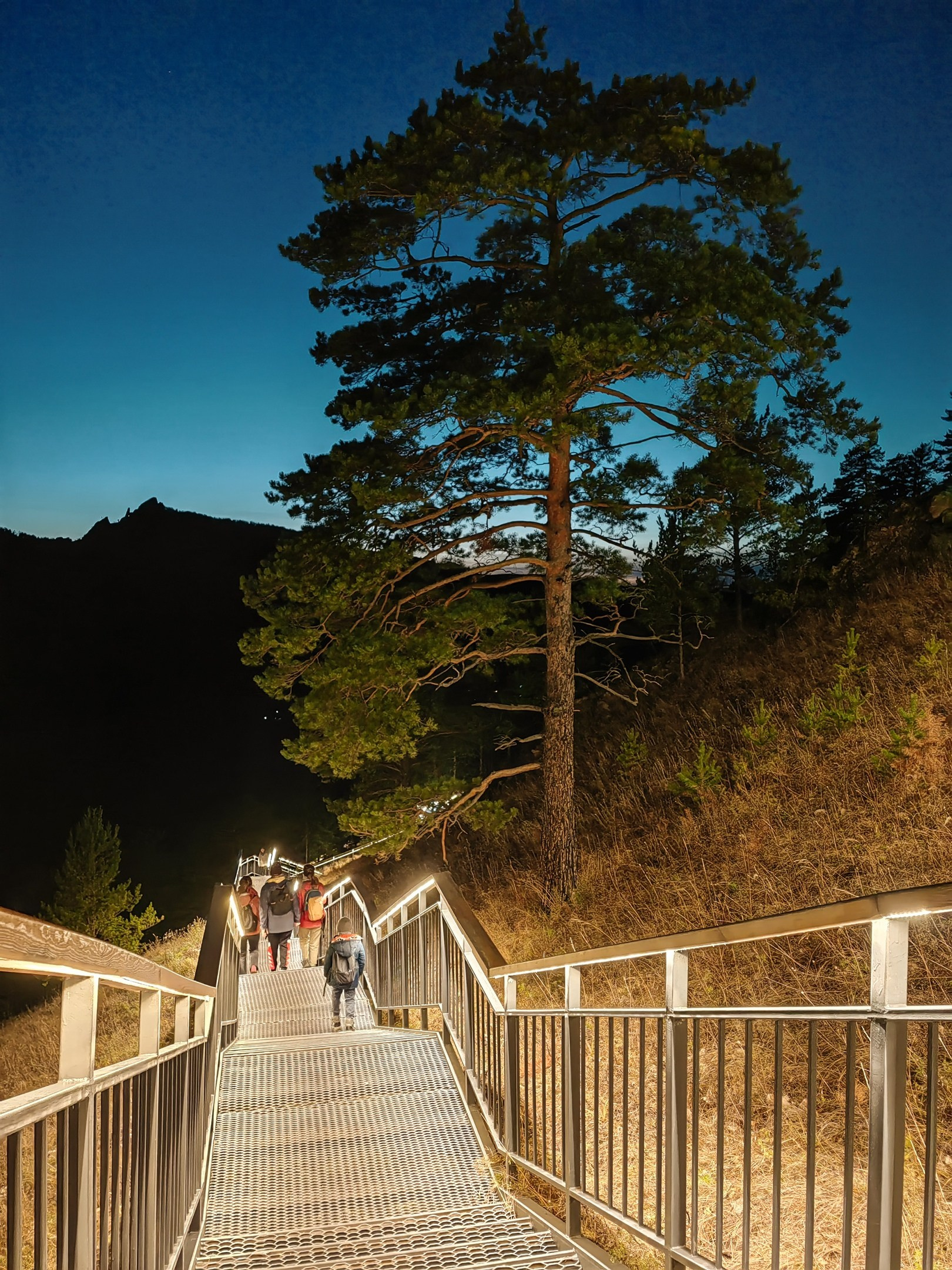 Торгашинская лестница закат что посетить достопримечательности Красноярска фототур фотосессия аренда кабриолета аренда микроавтобуса трансфер цена заказать экскурсию программа маршрут смотровые площадки видовые красивые места Национальный парк заповедник Столбы Дивногорск Красноярская ГЭС путешествие туристический маршрут место силы Часовня Параскевы Пятницы Коммунальный мост остров Татышев Бобровый лог Николаевская сопка набережная Енисея село Овсянка музей Астафьева Караульная гора Виноградовский мост гид экскурсовод индивидуальная экскурсия фотосъемка виды на Енисей фанпарк Бобровый лог парк флоры и фауны Роев ручей Торгашинский хребет скала Такмак вантовый мост куда сходить цены расписание заказать онлайн экскурсионное обслуживание трансфер на комфортабельном автобусе индивидуальный тур Красноярск экскурсии фото интересные места что посмотреть куда сходить