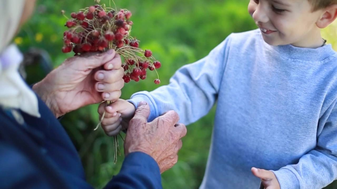 Проект «Связь поколений». Детский и семейный фотограф в Москве Катерина Орлова