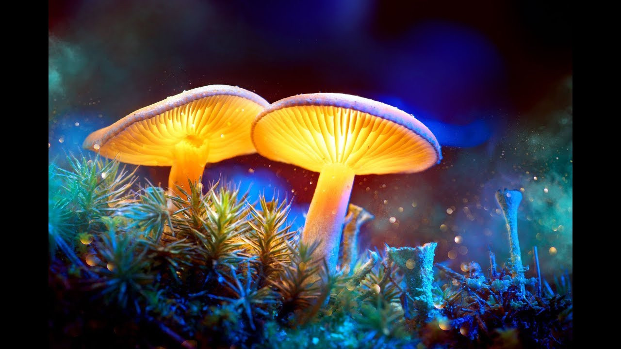 Contacts. Professional photographer in Moscow and Saint-Petersburg