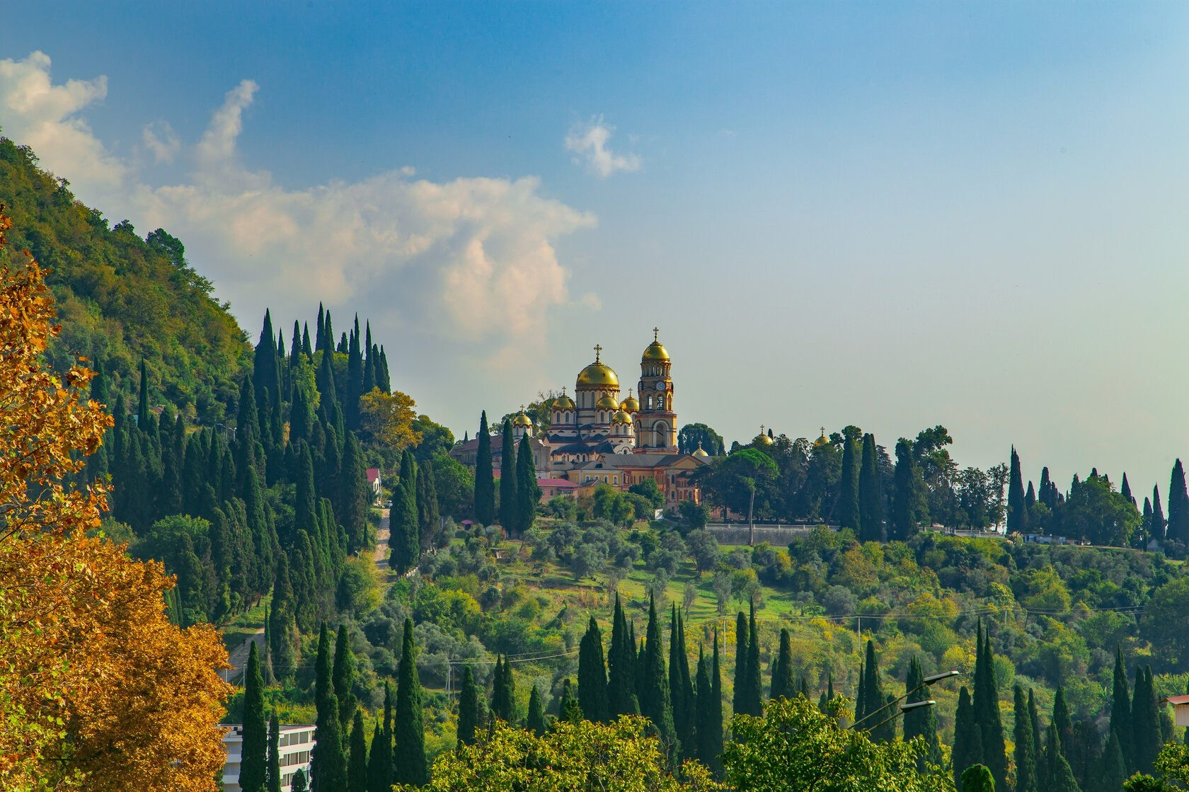 Абхазия. «Мандариновое настроение». Ольга Котова
