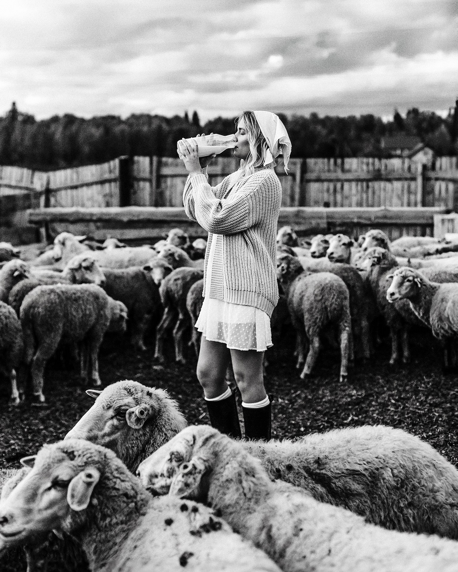 Молодая девушка в образе крестьянки пьет молоко в загоне с овцами в чб