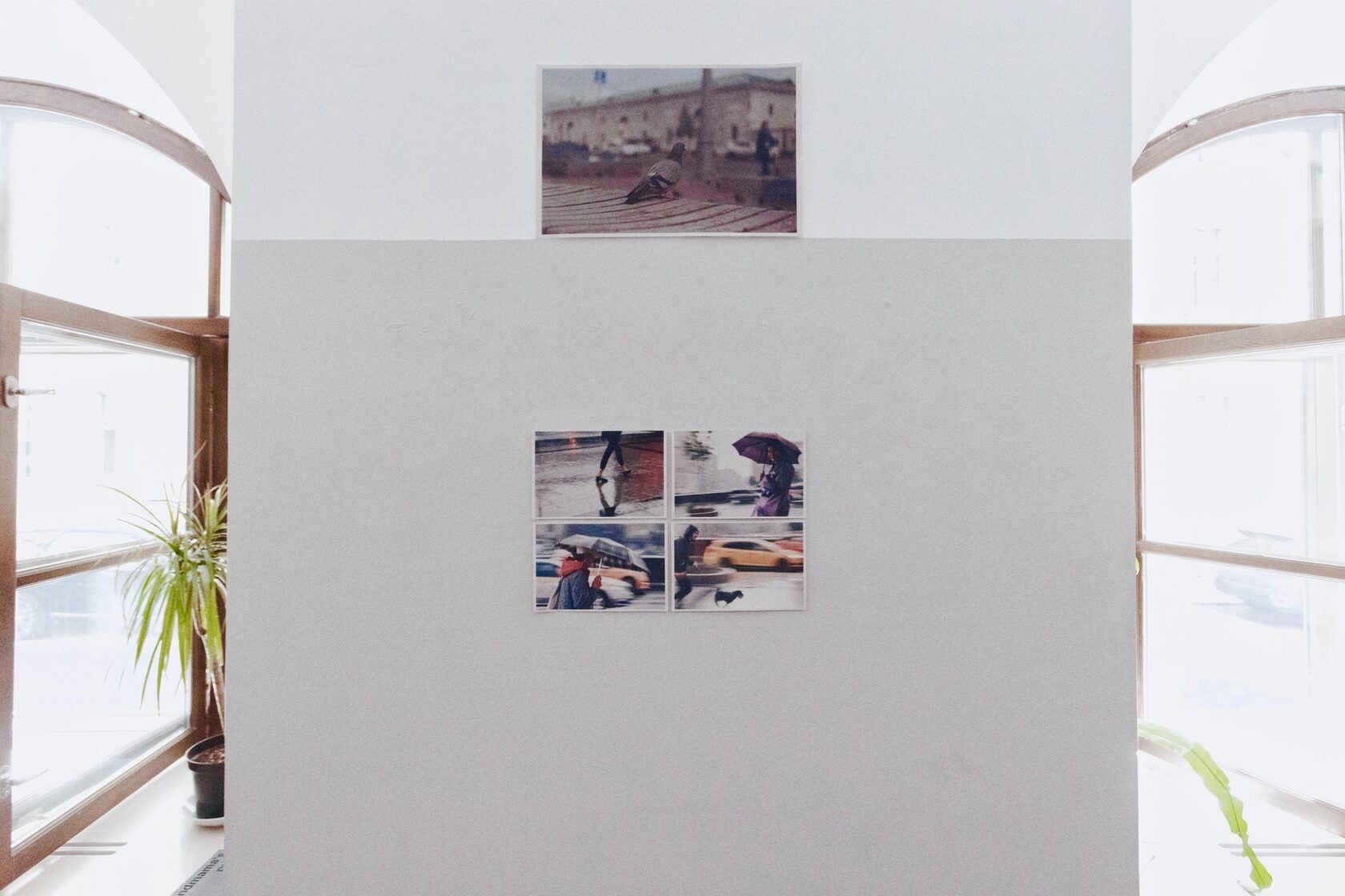 Exhibitions and…. POLINA MÔMOT