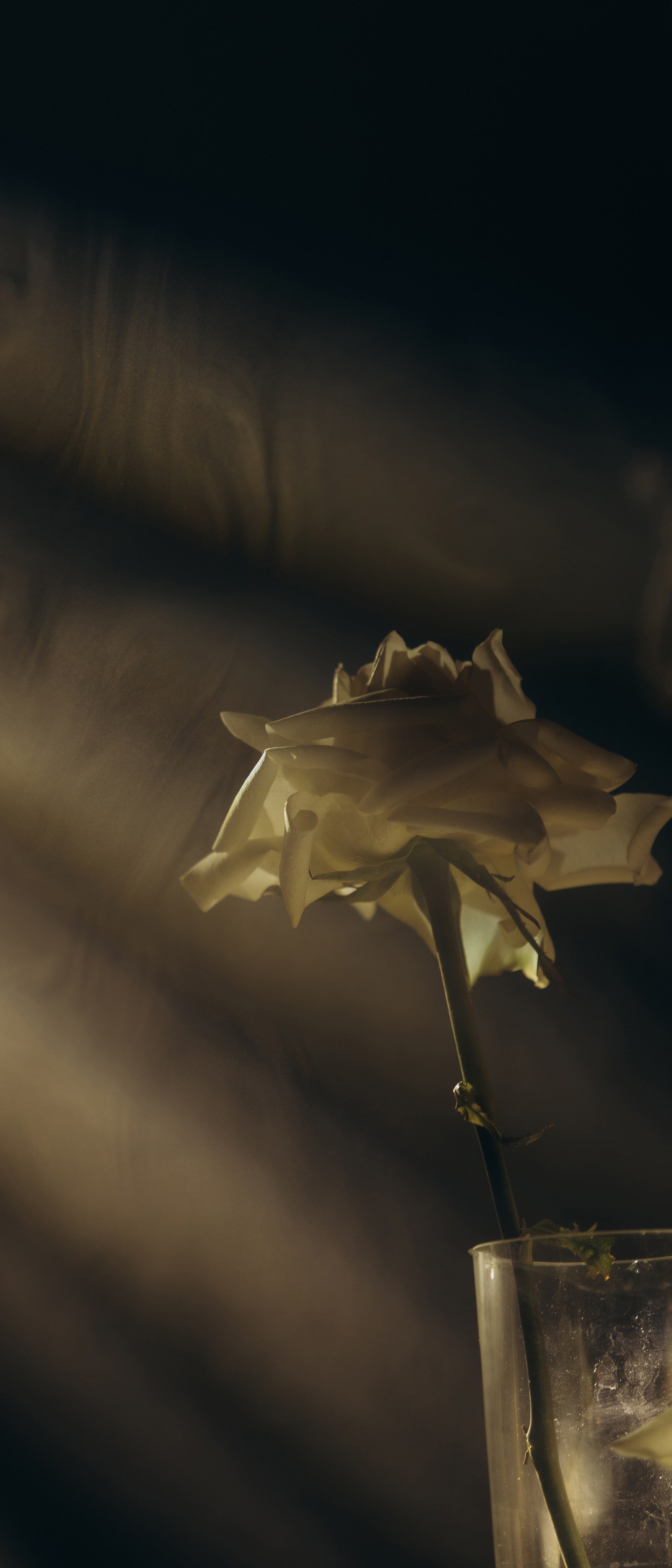 Свадебный фотограф в Краснодаре Татьяна Гура