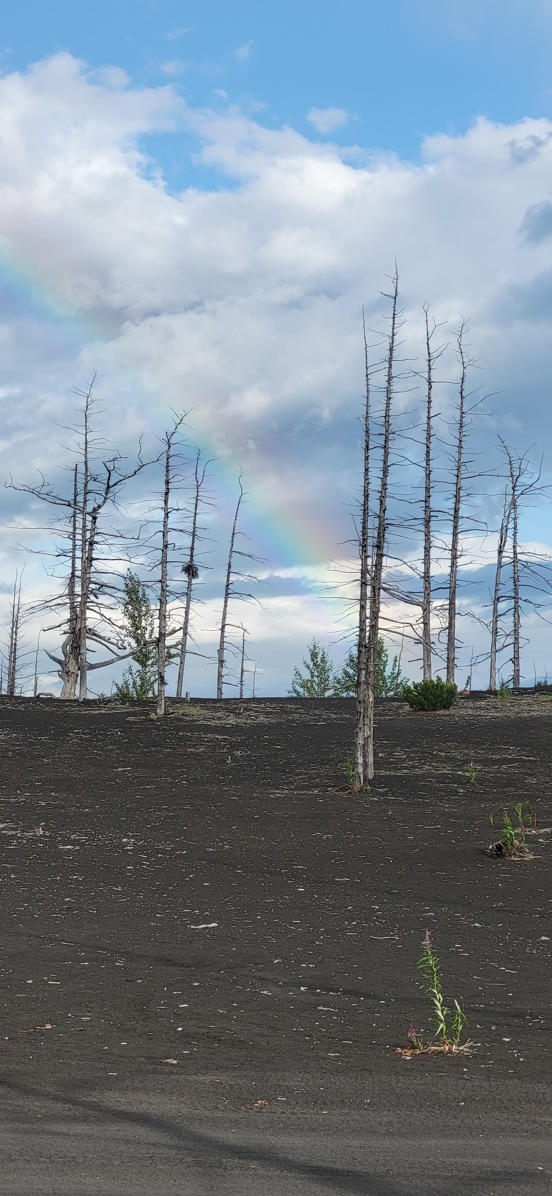 Толбачик. Экскурсионные туры по Камчатке