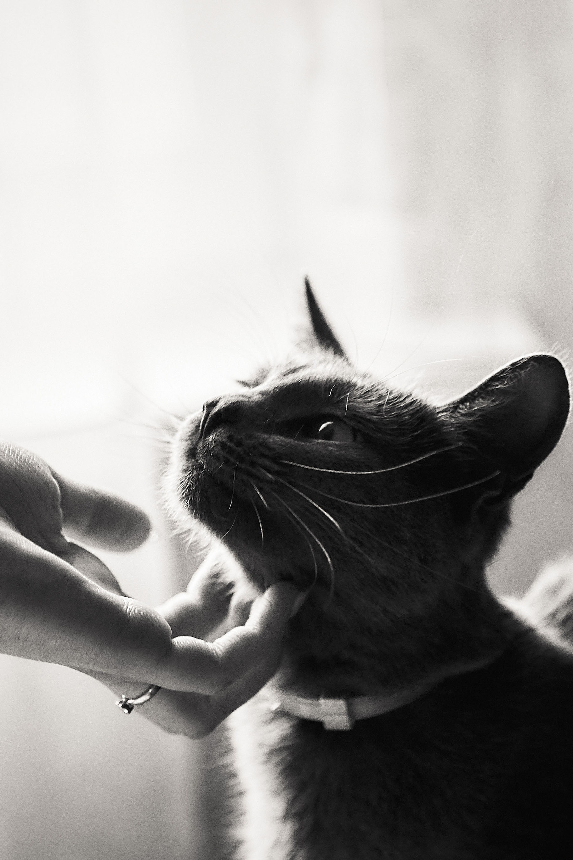 Фотограф Андрей Лёвкин