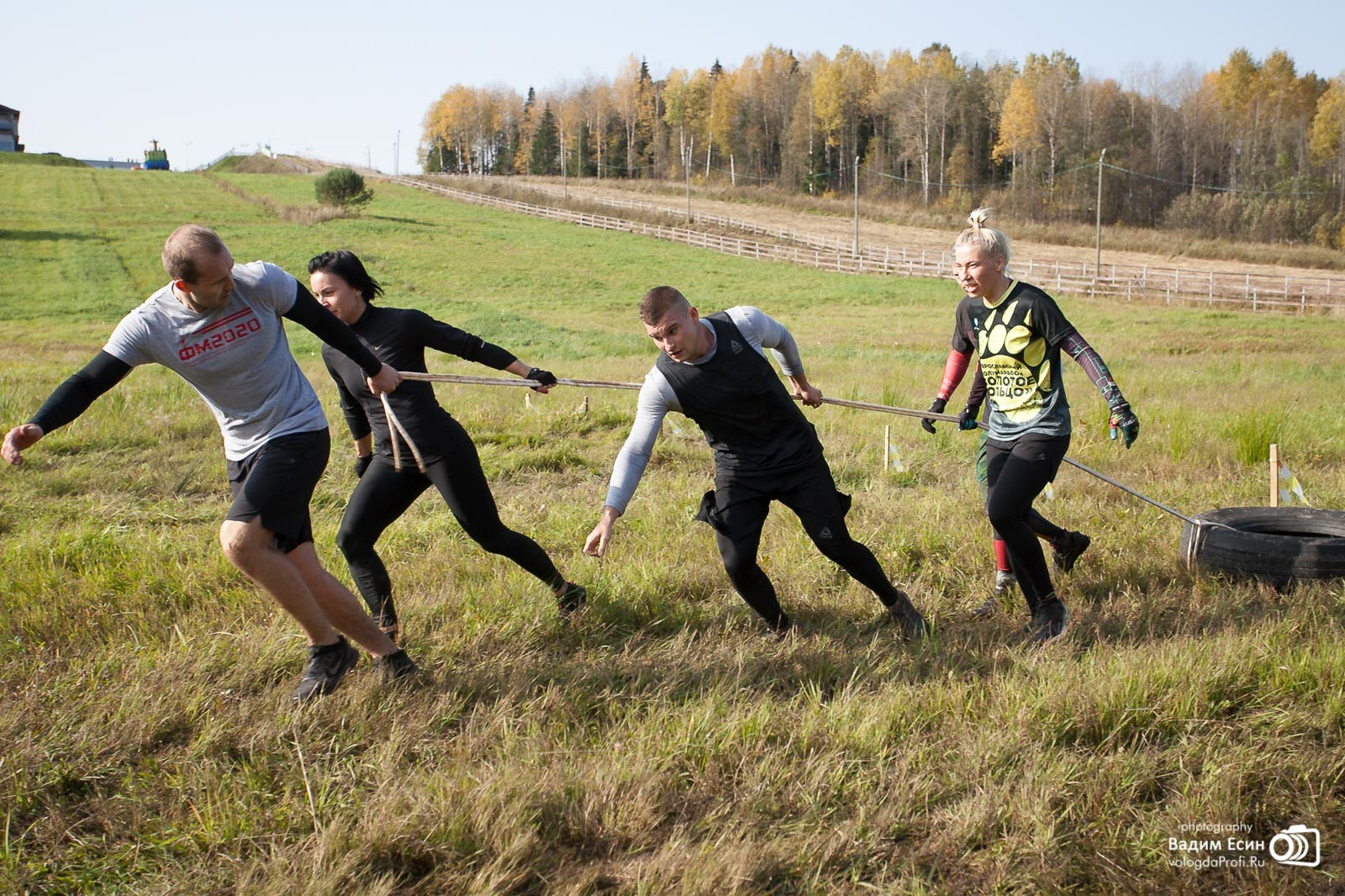 Вологодские лоси 2020