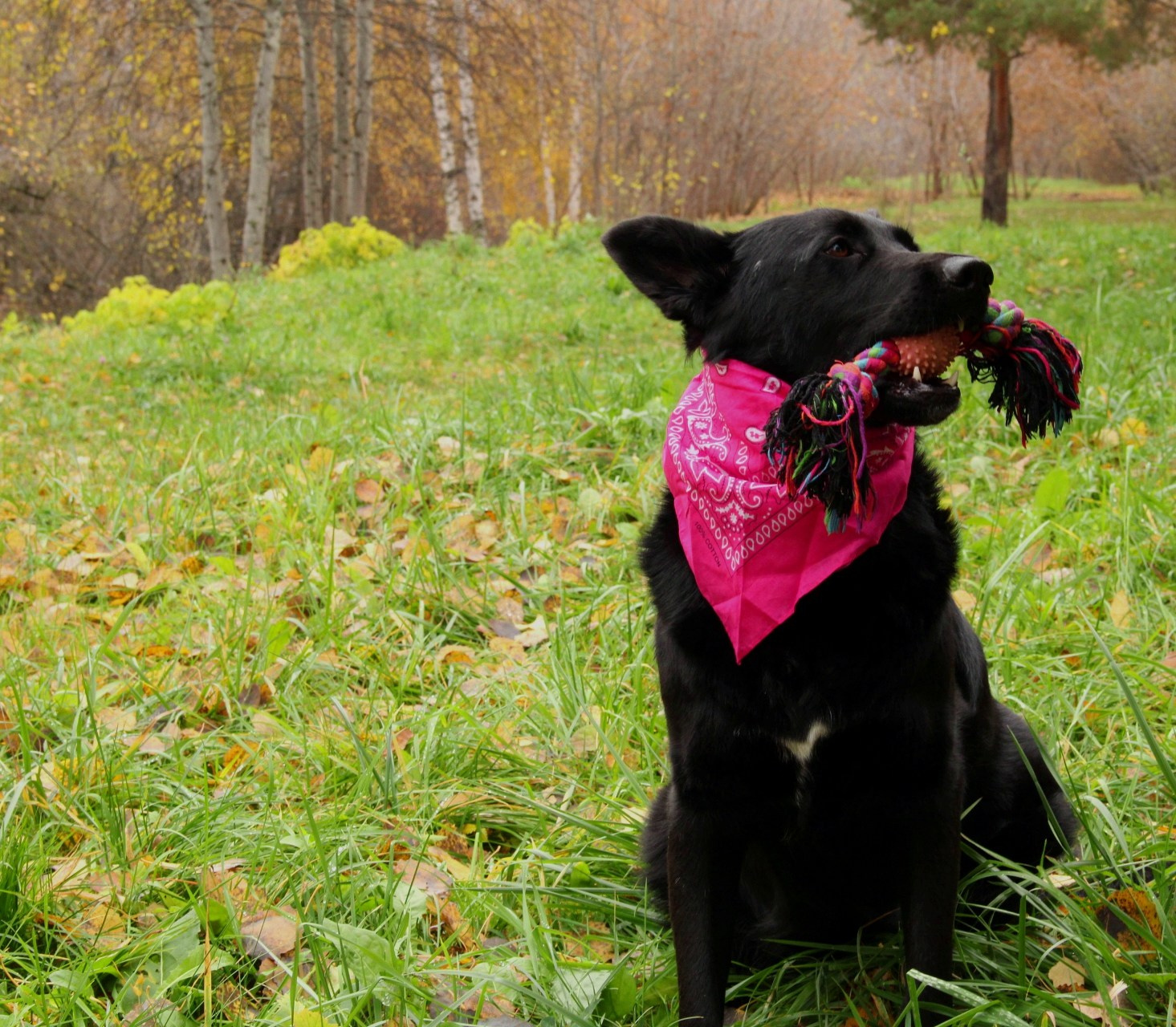 Катя Попова|ЛайфСтайл фотограф