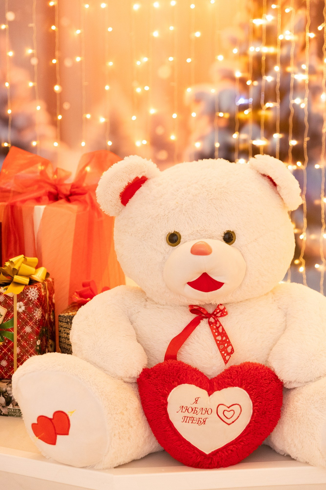 Фотостудия НГ. Профессиональный фотограф Анастасия Кохно