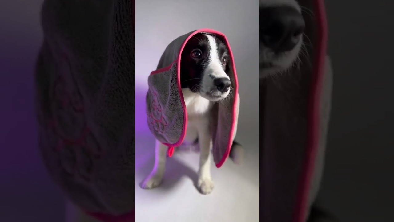 Салфетка для животных Green Fiber Pet от Гринвей — купить — заказать