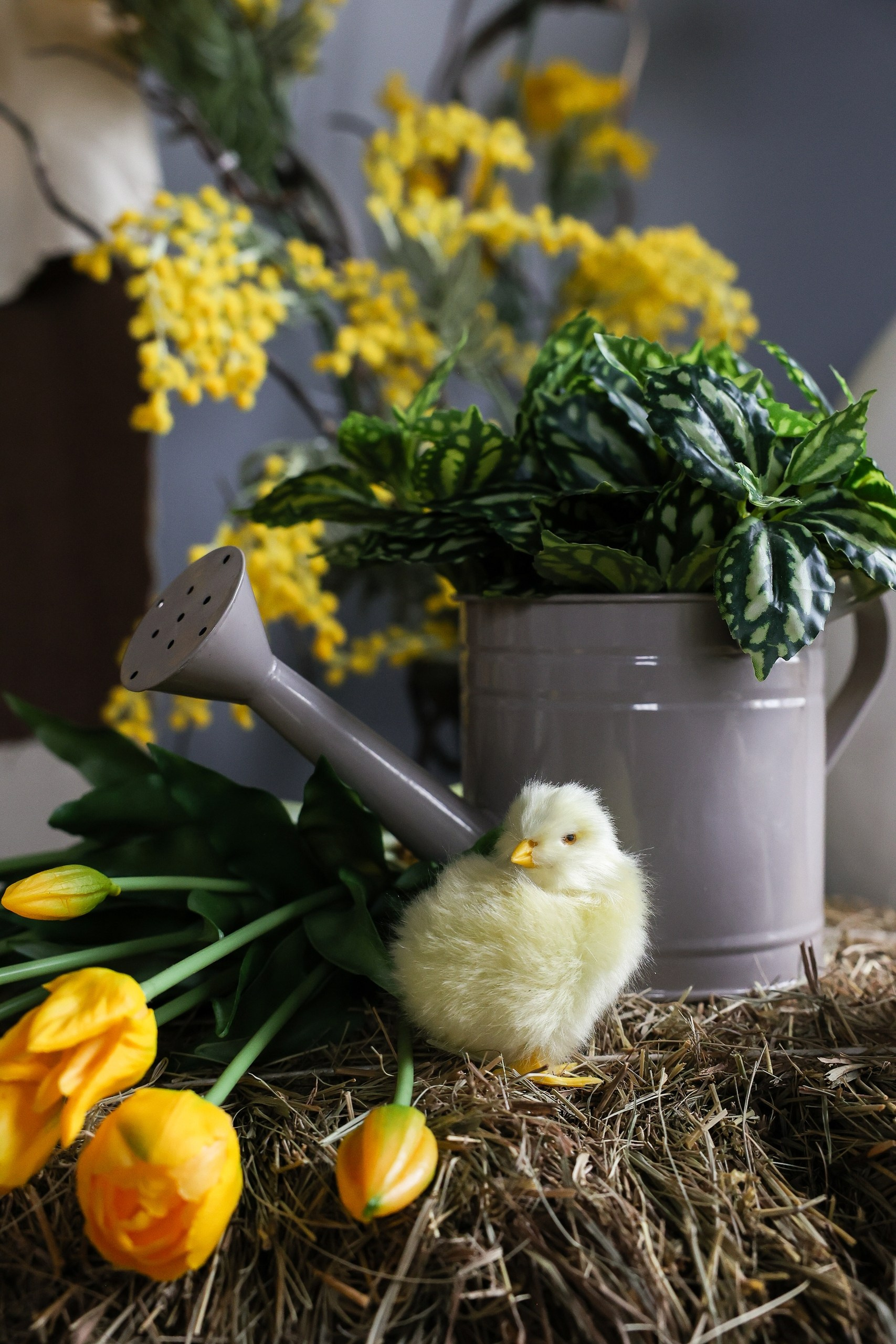 Фотозона для школьников, фотозона Гарри Поттер. Семейный и свадебный фотограф в Воронеже Майя Добровольская