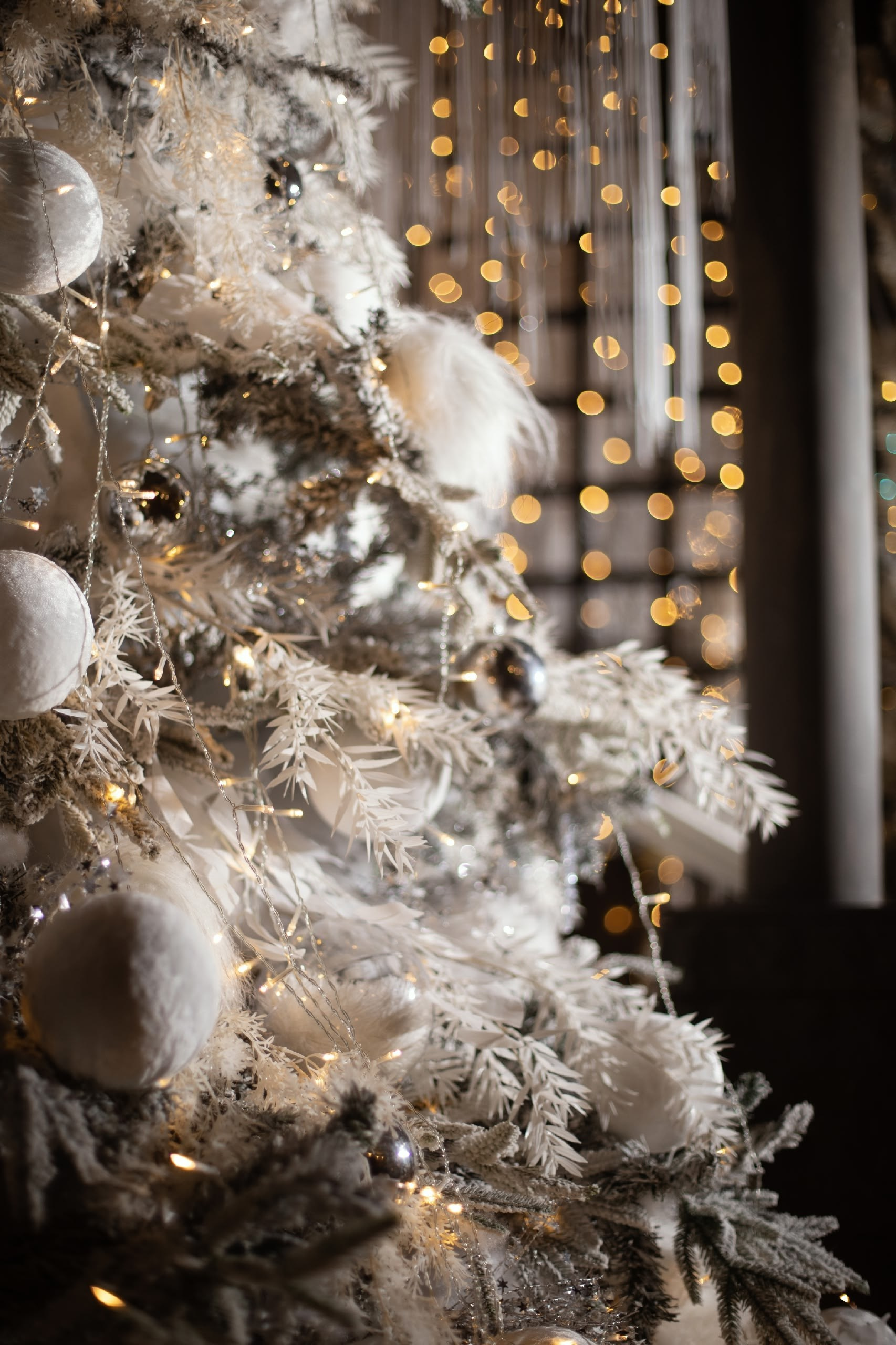 Список фотостудий. Свадебный и портретный фотограф Roxana Imp Тверь Москва