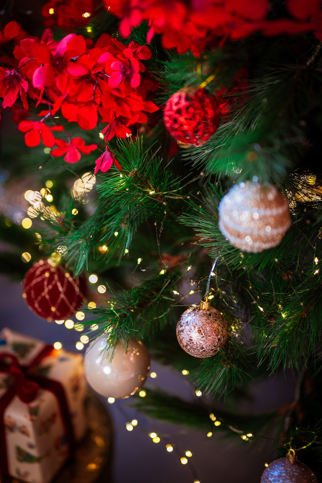 Фотостудия интерьерная в Туле — Давинчи |Davinci