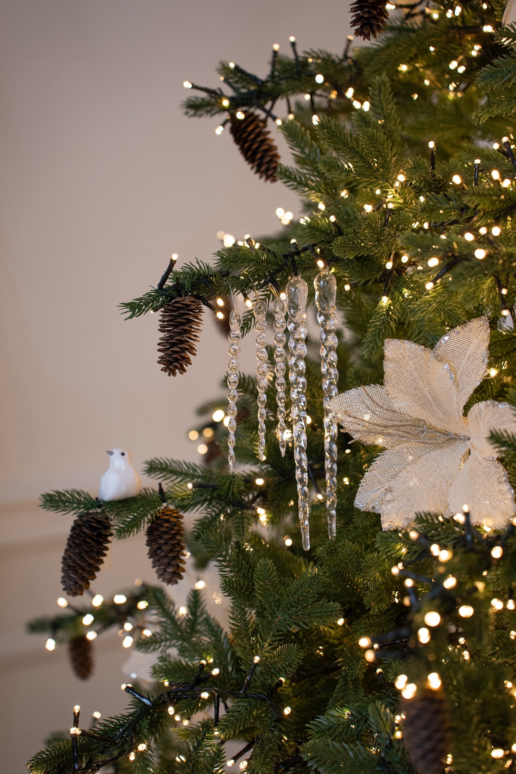 Фотограф Алена Латкина Екатерибург. Фотограф Алёна Латкина — Екатеринбург