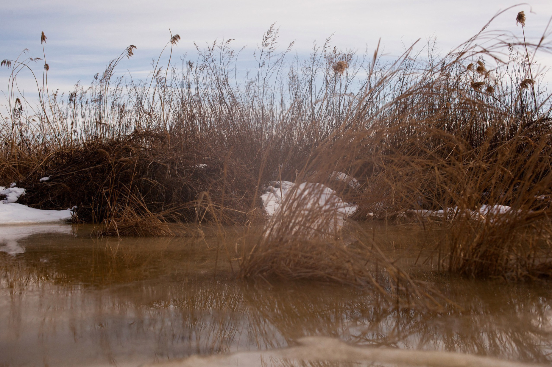 На стыке сред