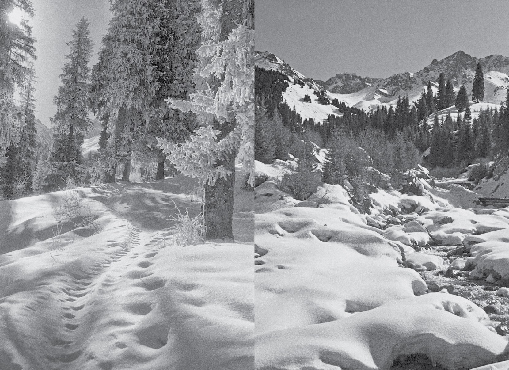 Коллекционные альбомы. ВАДИМ ГИППЕНРЕЙТЕР — ВЕЛИКИЙ ФОТОГРАФ ЗЕМЛИ РУССКОЙ