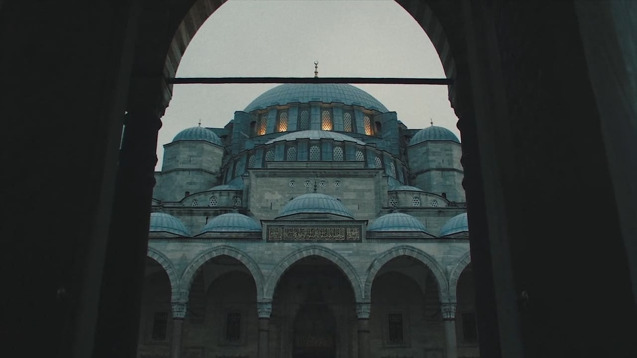 Reportage / Documentary. Оператор постановщик Денис Трегубов