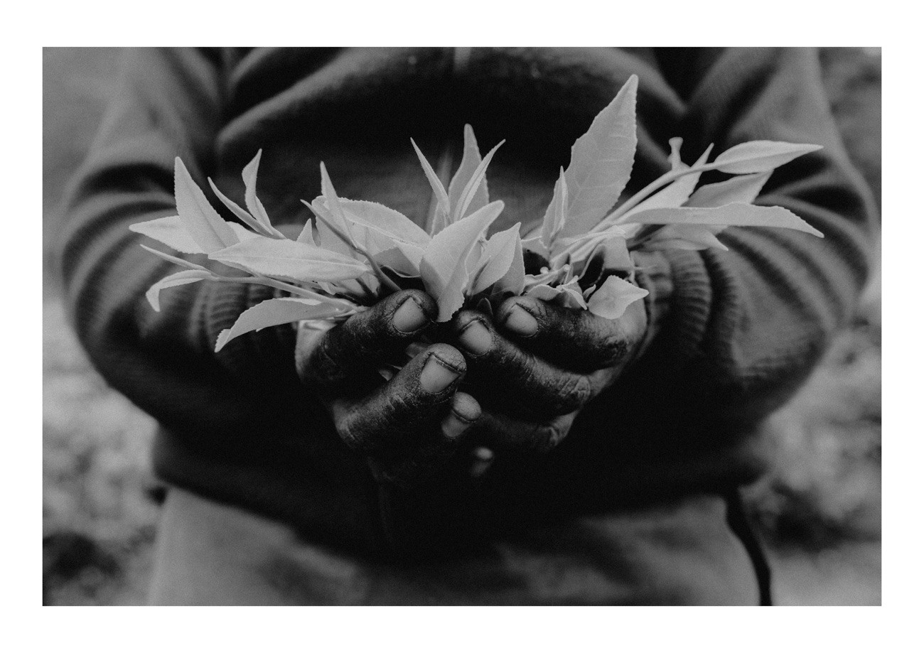 POST CARDS. Свадебный фотограф Грузия Alex and Polly