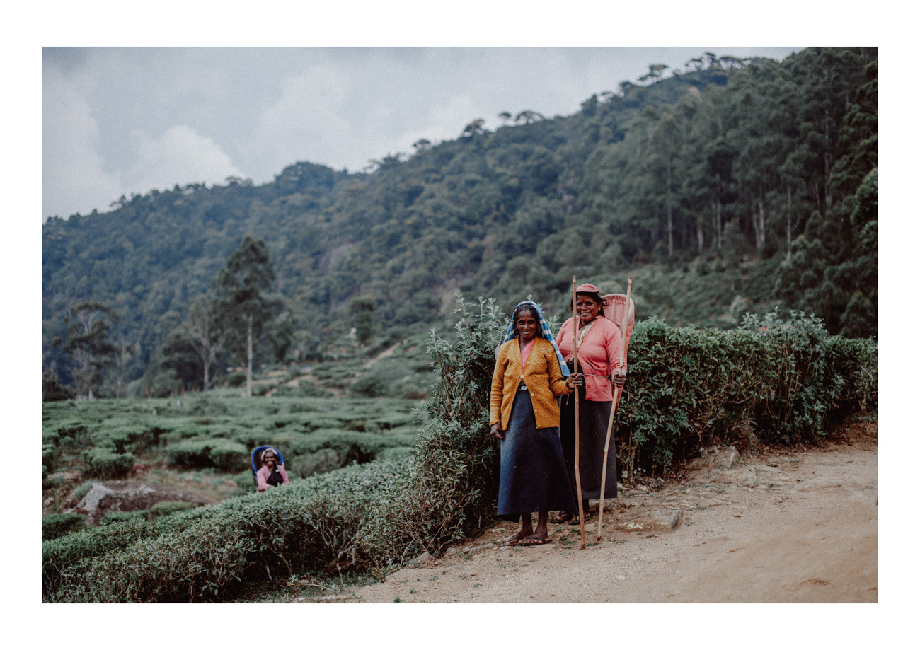POST CARDS. Свадебный фотограф Грузия Alex and Polly