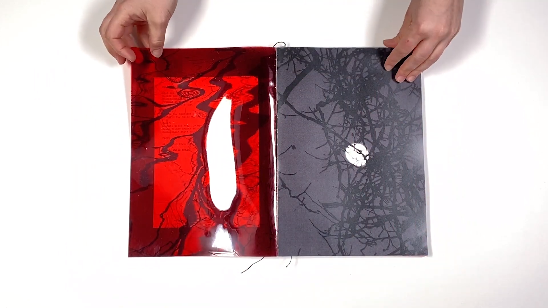 Фотокнига «Solstice» художницы Джулии Боле (Julia Bohle). Private image