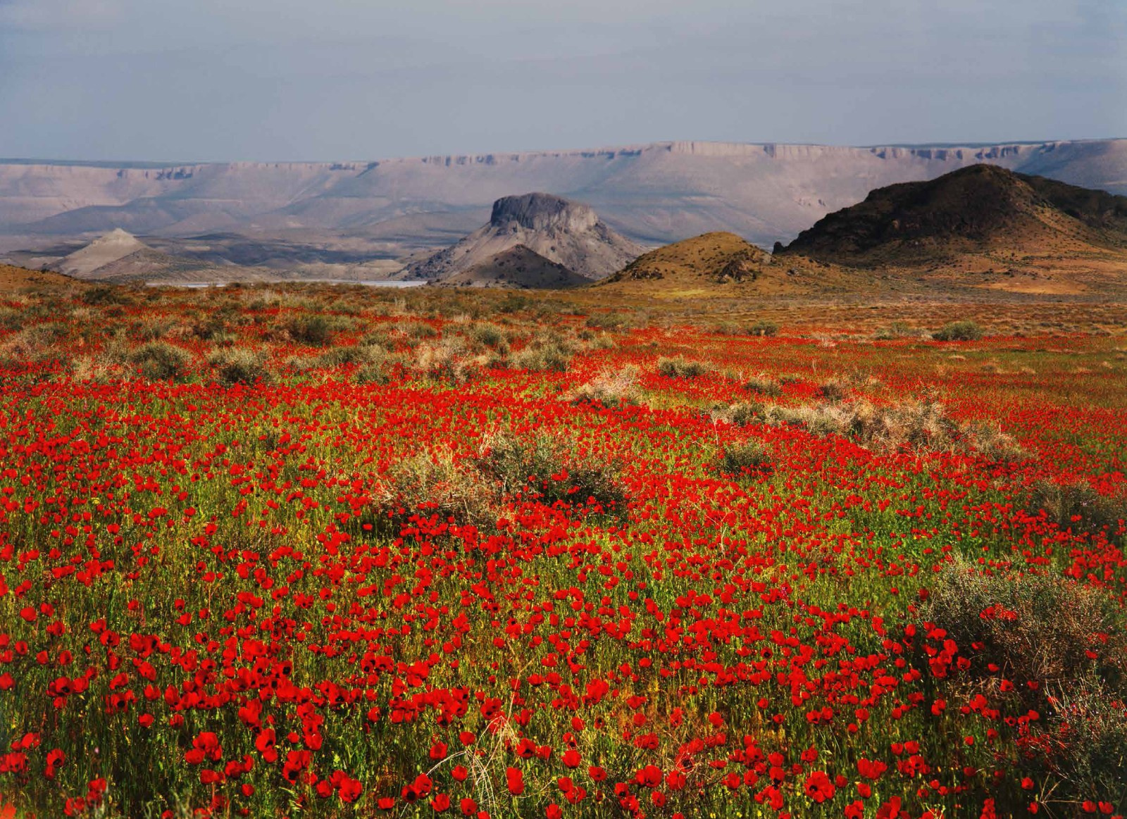 Коллекционные альбомы. ВАДИМ ГИППЕНРЕЙТЕР — ВЕЛИКИЙ ФОТОГРАФ ЗЕМЛИ РУССКОЙ