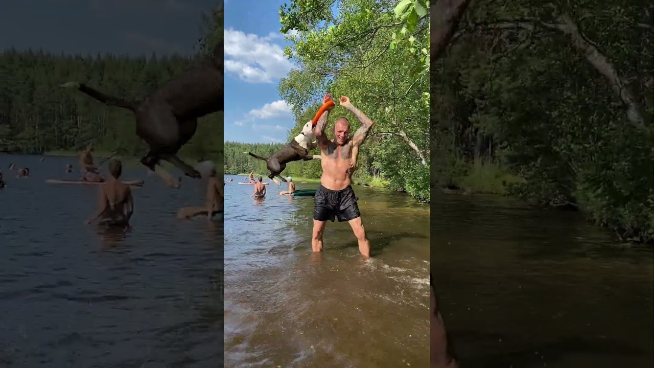 Клуб единоборств, тайского бокса и джиу-джитсу KLETKA