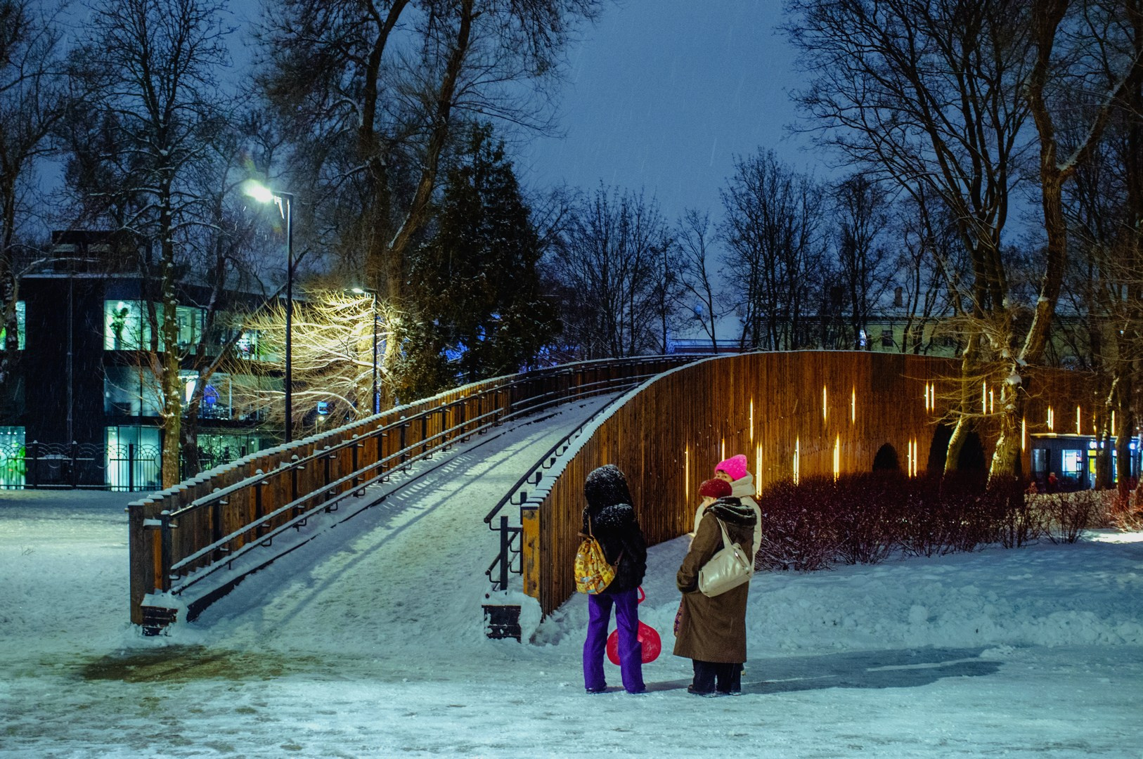 Зима уходящая. Руслан Шувалов (поэтограф)