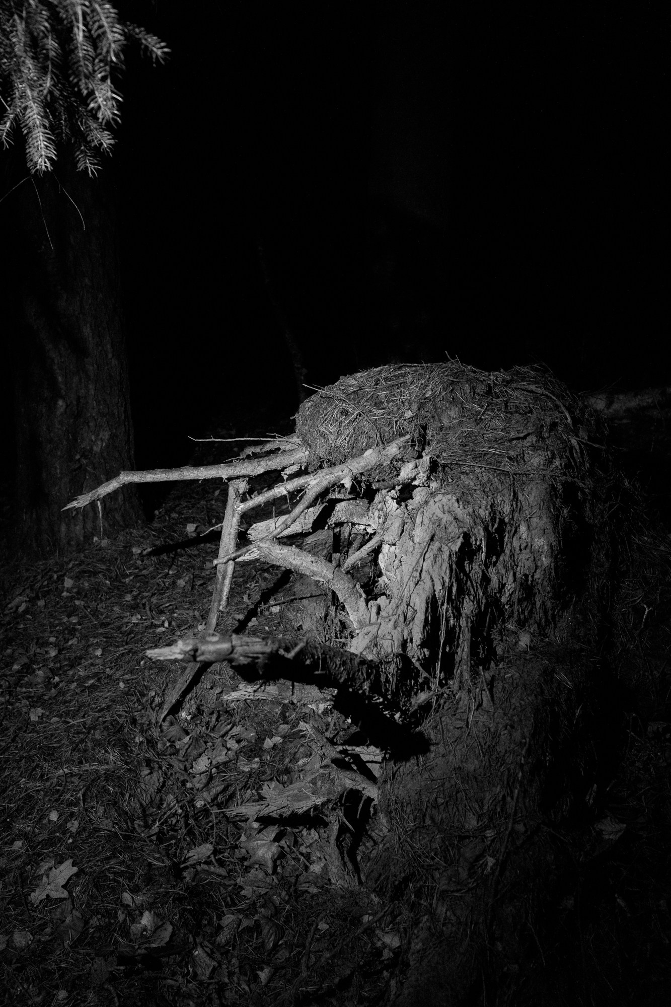 Пограничье. Юлия Леонова — фотограф, визуальный художник Минск