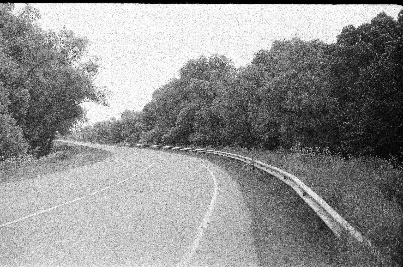 Плакучая ива. Фотограф-любитель Ксения Мирзоян