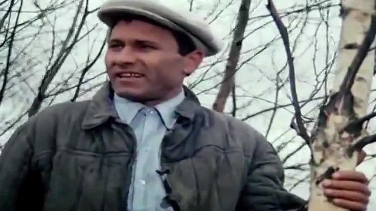 Спектакль "Здравствуйте, люди!". Дом Шрёдера