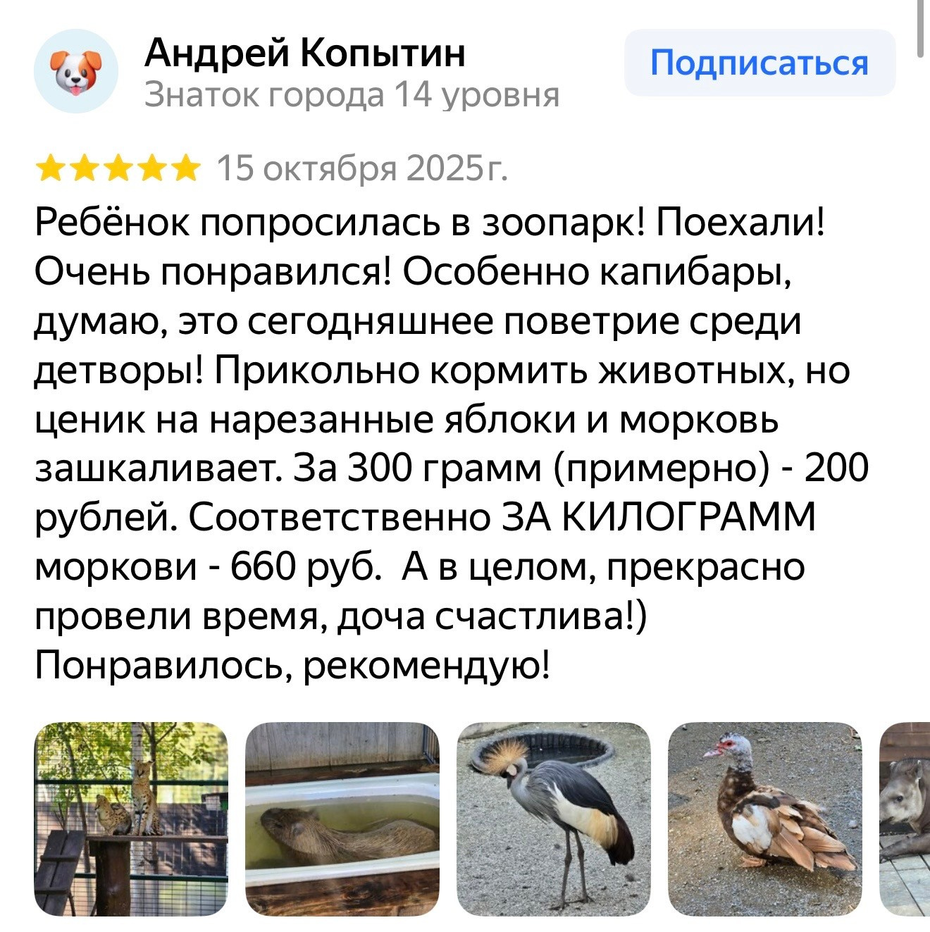 Отзыв посетителя о контактном зоопарке в Екатеринбурге
