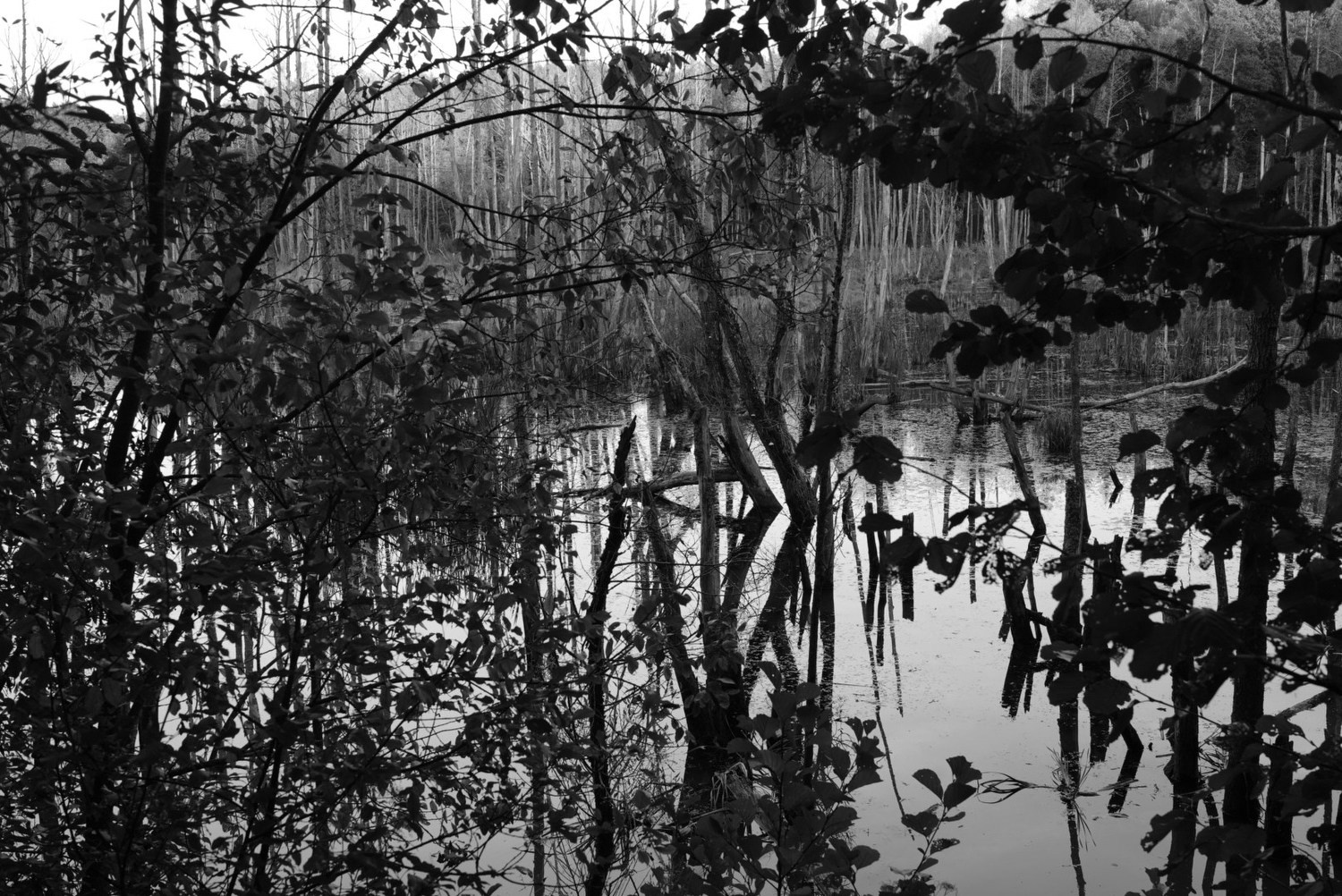 Непокорённая земля. Пылина Ирина — современная фотография