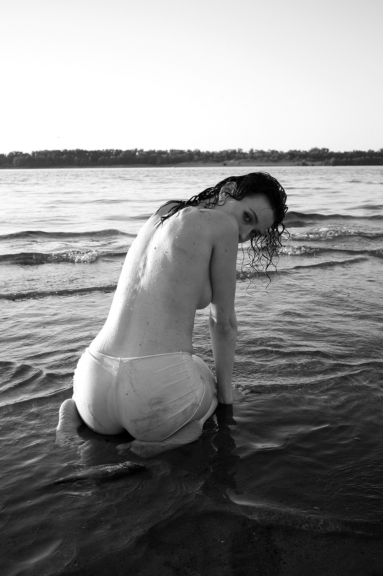 Евгений Холодок