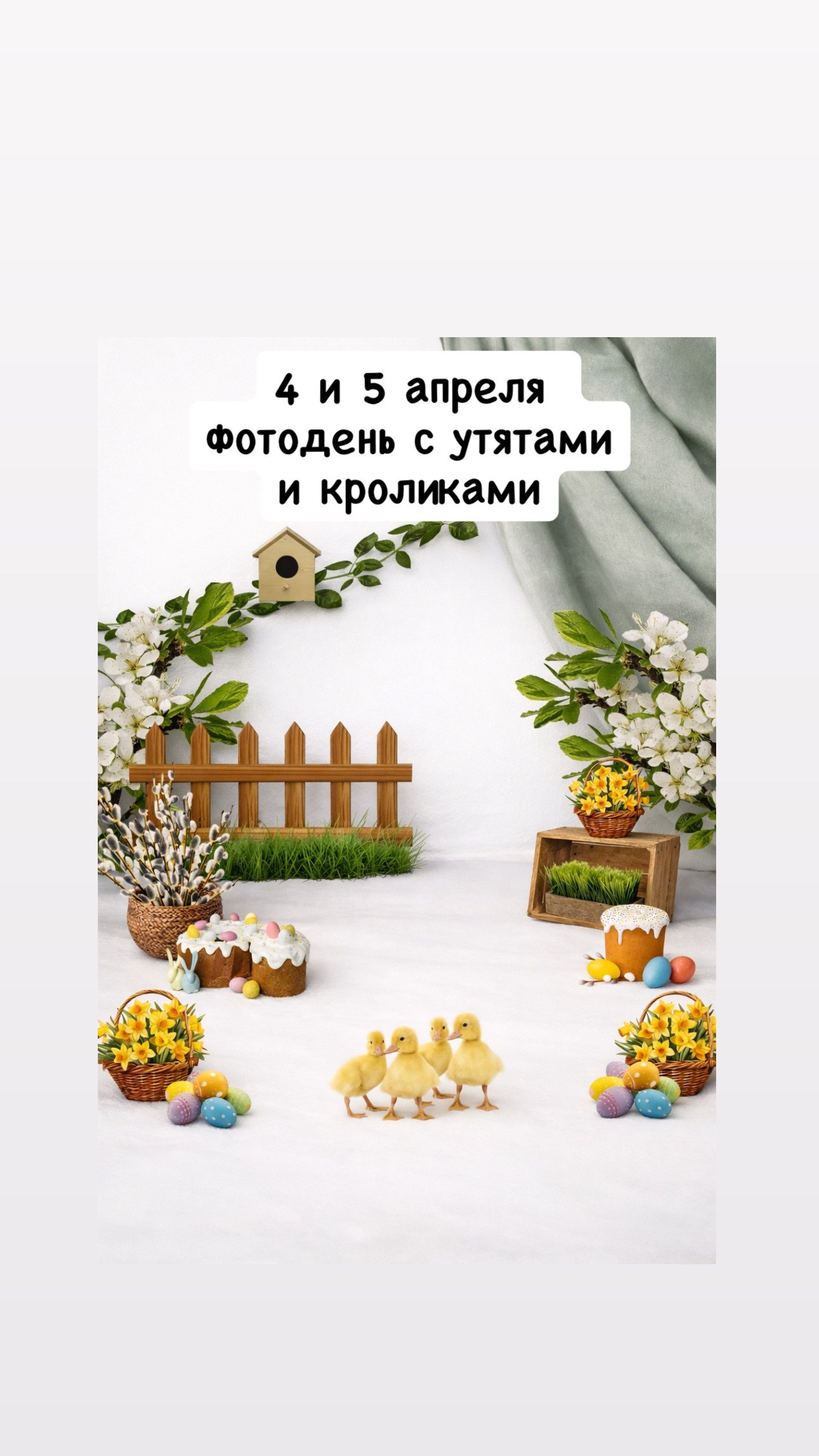 фотосессия с утятами