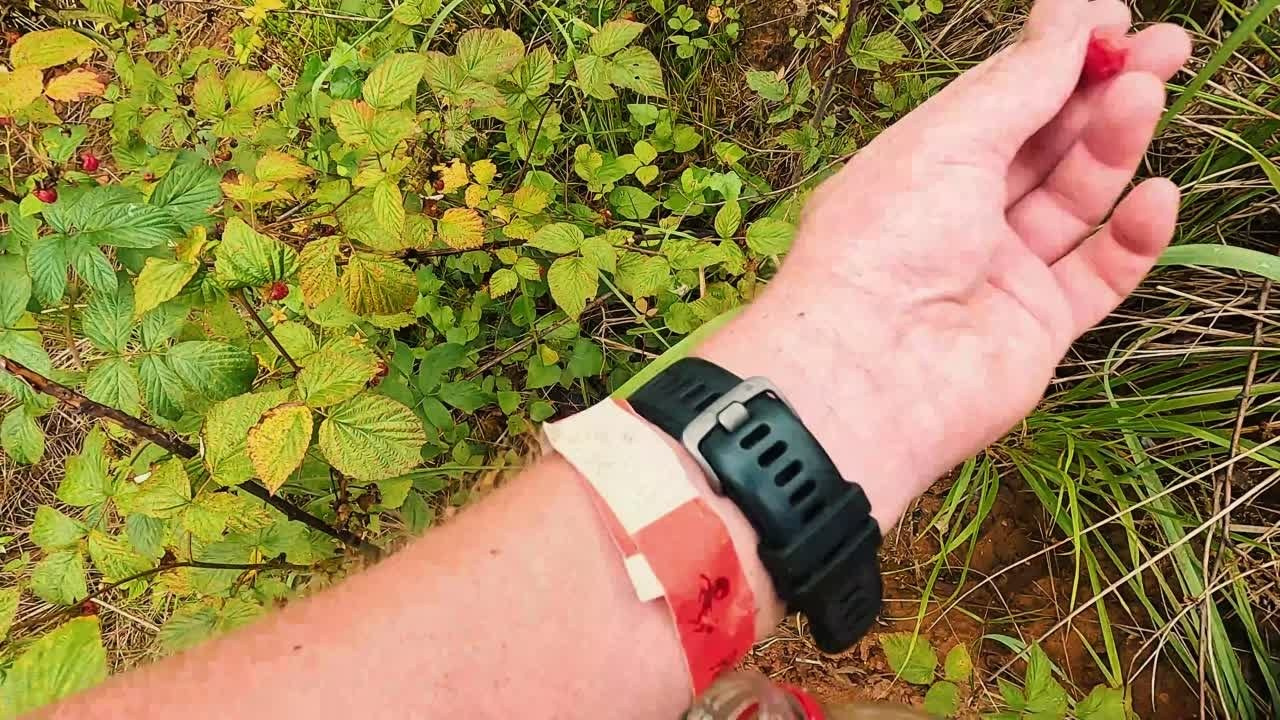 Golden Ring Ultra Trail 2024. Роман Капилюшов. Бег. Фото. Видео. г. Люберцы