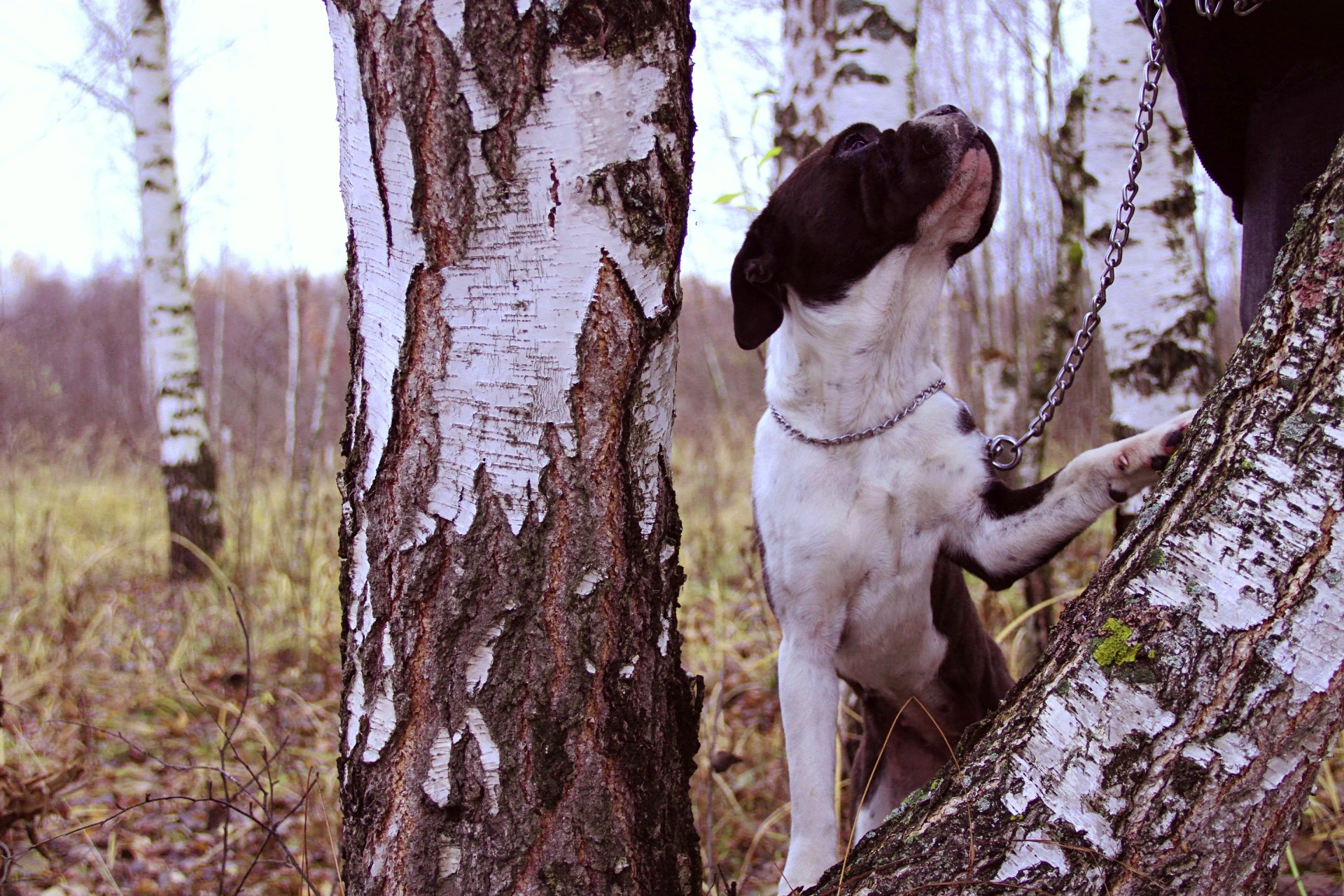 Катя Попова|ЛайфСтайл фотограф