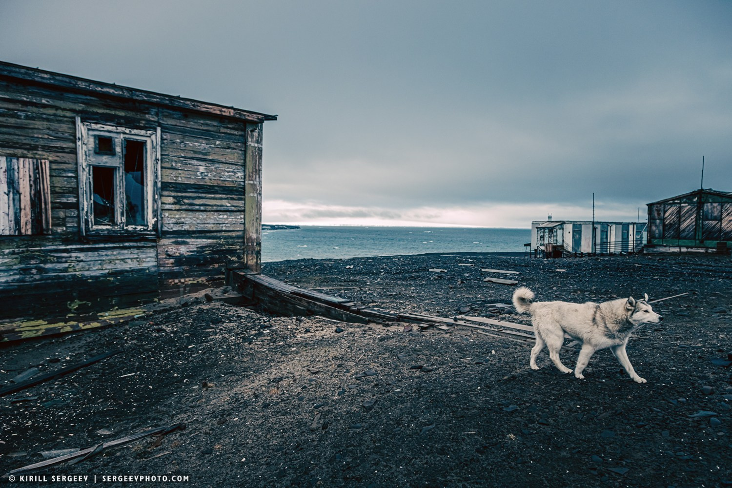 Арктическая одиссея. Фотограф Кирилл Сергеев | Москва