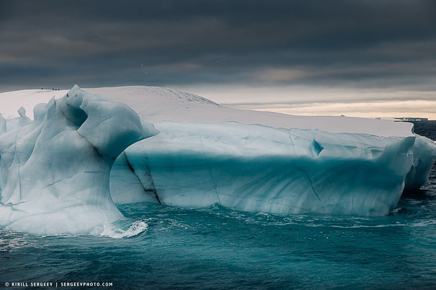Арктическая одиссея. Фотограф Кирилл Сергеев | Москва