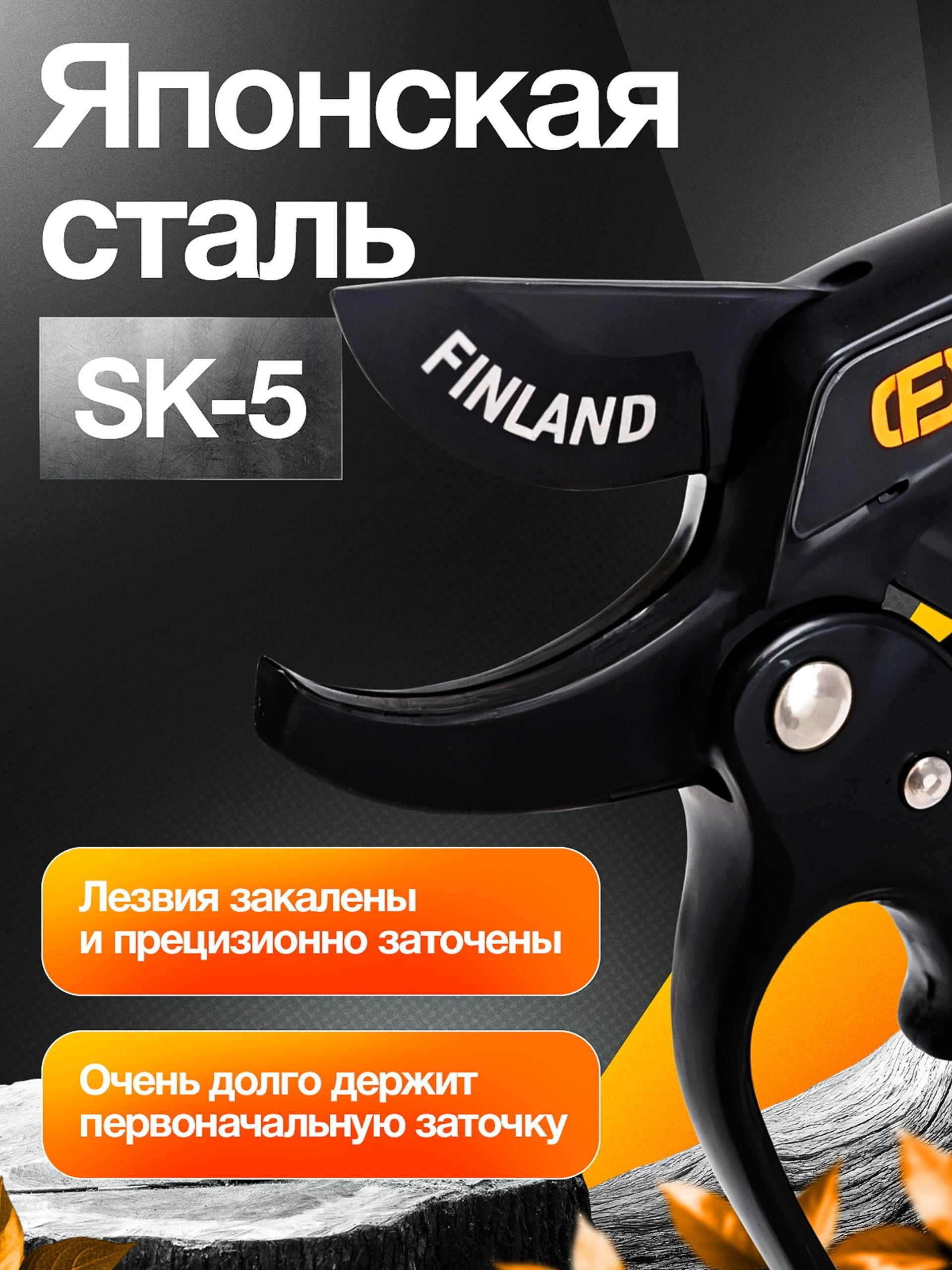 Vexora студия дизайна для e-commerce, рост продаж на Wildberries и Ozon