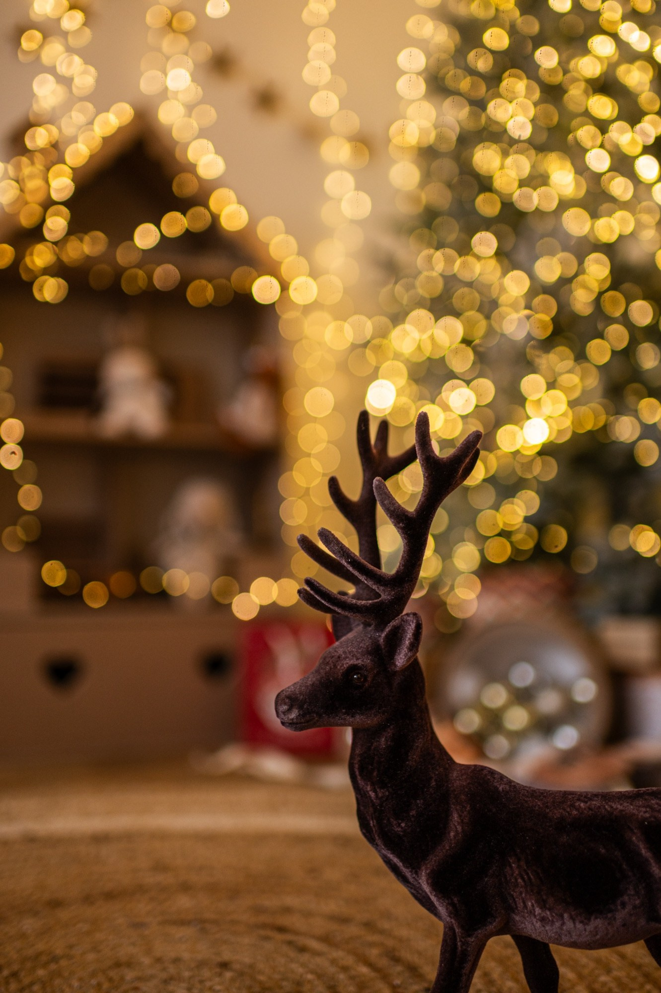 Студийная съёмка. Ваш фотограф Светлана Мицукова