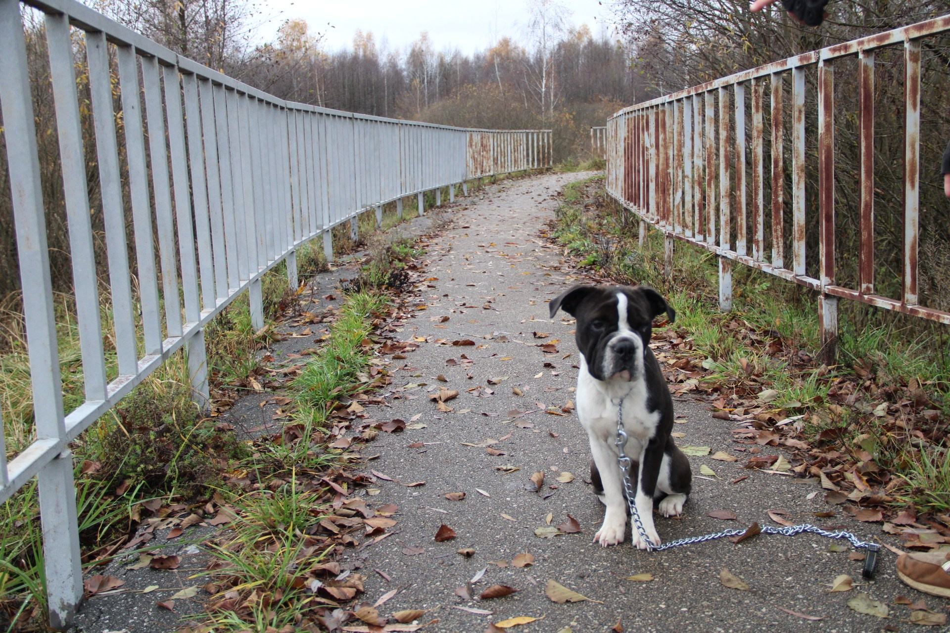 Катя Попова|ЛайфСтайл фотограф