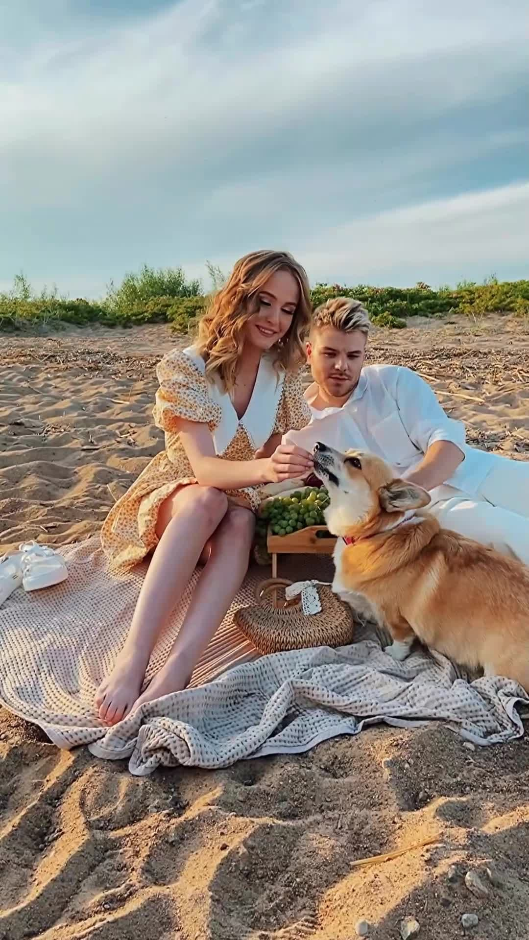 Исходники Лавстори пикник + собака