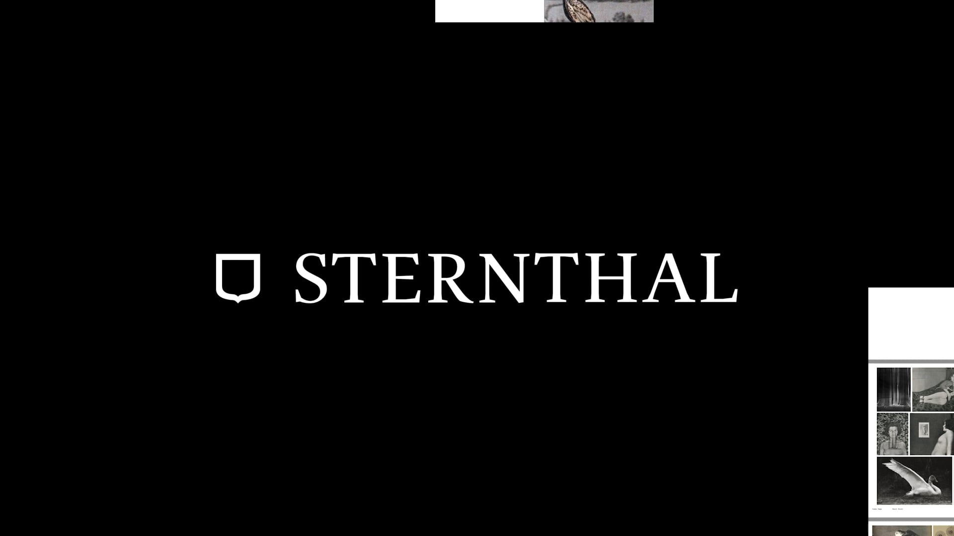 Книга Ронит Порат «Hunting in Time». Private image