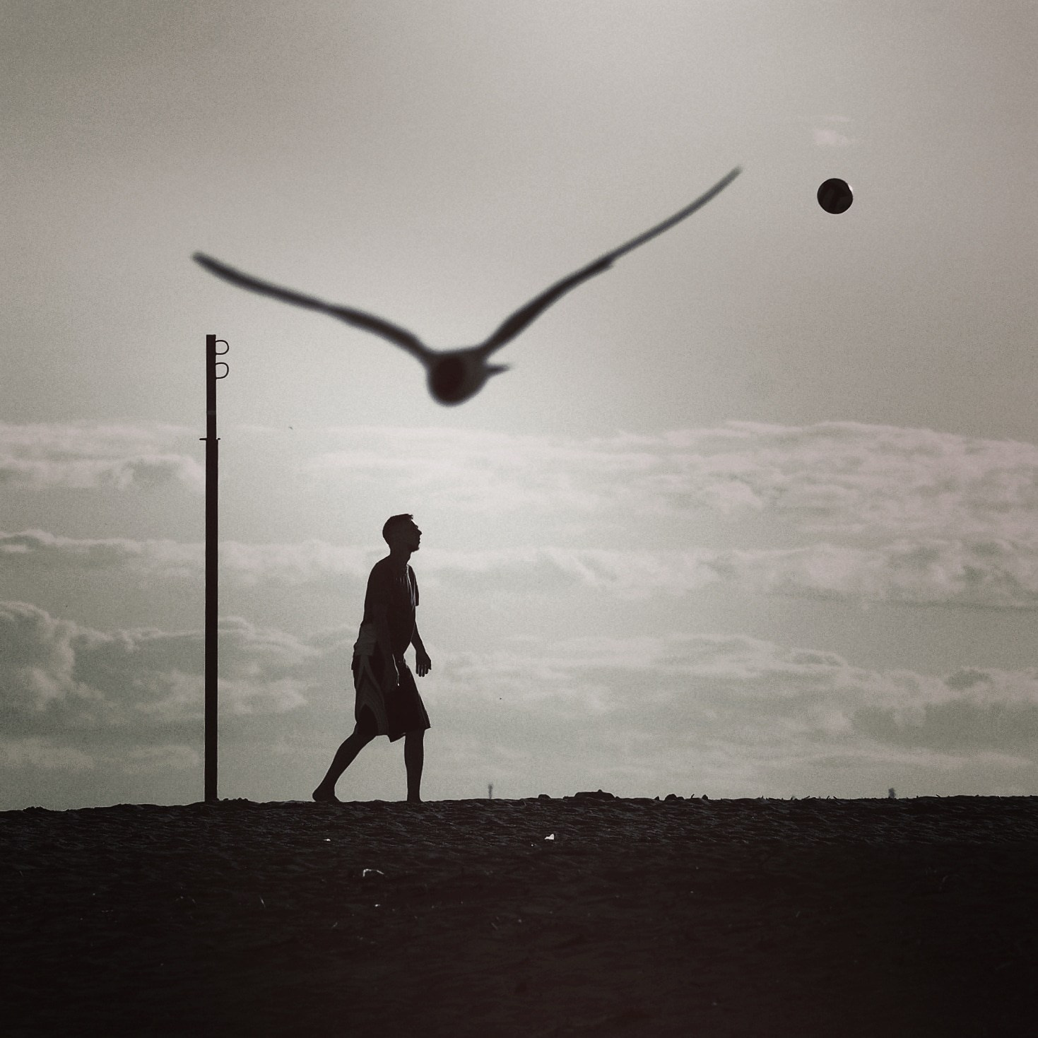 Елена Гонтаренко — художественный портрет. Фотограф в России, Семейный фотограф, репортажный фотограф, детский фотограф, портретный фотограф, контент фотограф, универсальный фотограф