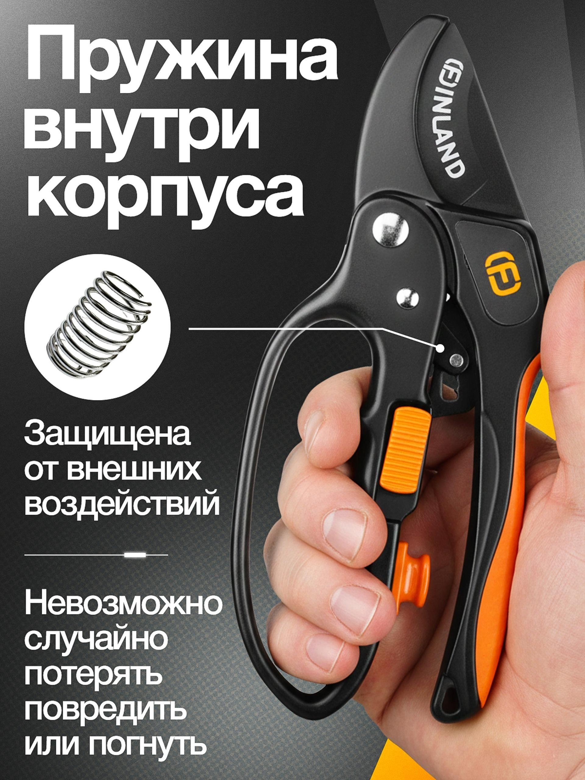 Vexora студия дизайна для e-commerce, рост продаж на Wildberries и Ozon