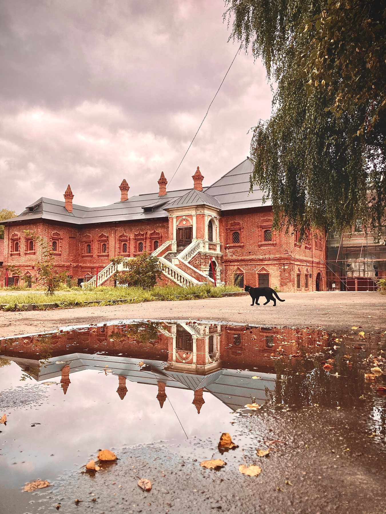 Предзапись на Курс по мобильной фотографии!. Детский и семейный фотограф Зоя Павкина