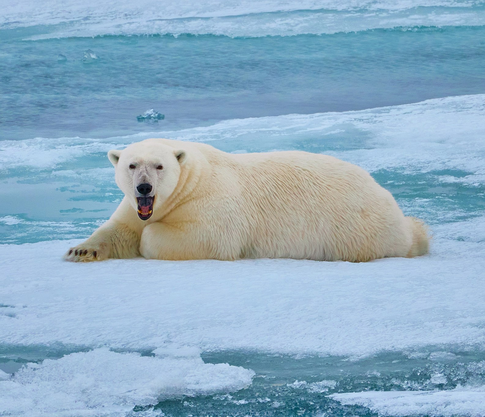 Фуджи. Международная онлайн-фотошкола Сергея Рожнова